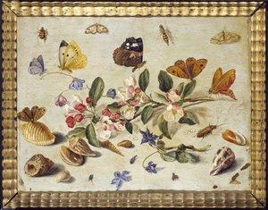 Een studie van bloemen en insecten